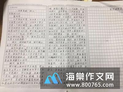 我的弟弟初一作文650字