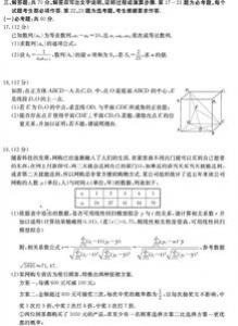 火树银花南山路高一作文