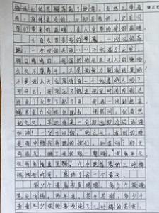 我的军训生活初一优秀作文800字