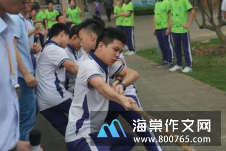 拔河比赛的小学二年级作文350字