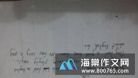 一个苹果初一作文600字