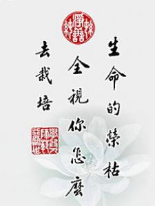 形容观察的名言警句