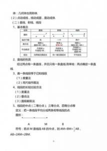 富乐山的菊花初一作文500字