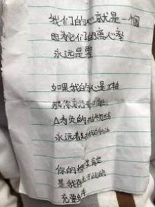 去爬石竹山小学二年级作文