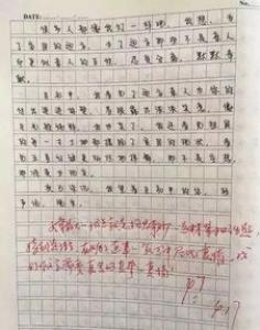 我的导师初一作文