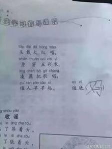 认真完成作业小学二年级作文