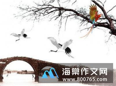 形容观察的名言警句