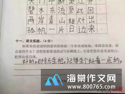 上姥姥家玩的小学二年级作文500字