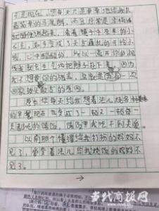 记一件小事小学一年级作文