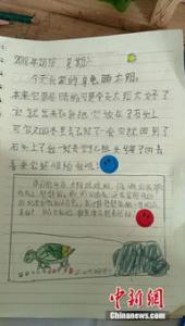 瑞迪的历险记一年级作文800字