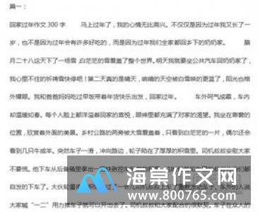 年味一年级作文
