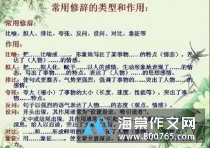 我是一个发明家小学二年级作文600字