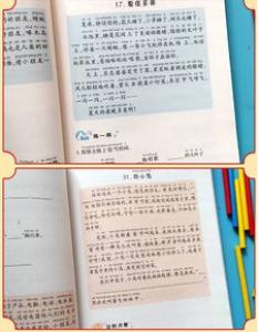 忙碌的一上午小学二年级作文250字