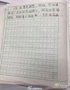 爱护鸟类小学二年级作文