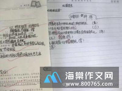 捉知了小学二年级作文250字