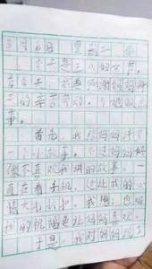 雪的小学二年级作文350字