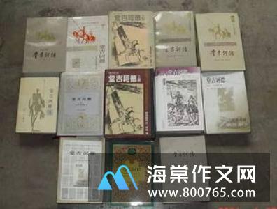 展望我的高一作文
