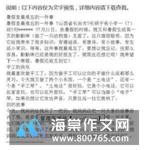 一节难忘的队会课小学一年级作文