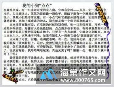 上姥姥家玩的小学二年级作文500字