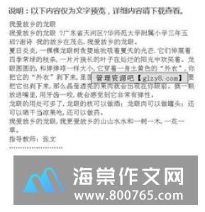我的家乡的小学二年级作文