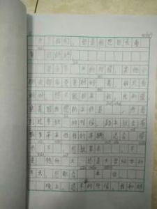 我就是我的小学二年级作文500字