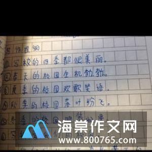 关于毽子的小学二年级作文