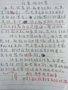 我的理想初一写事作文600字