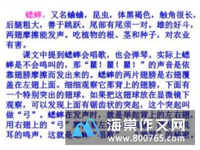 未来的房子小学二年级作文250字