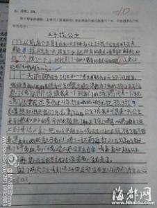 观世博小学二年级作文