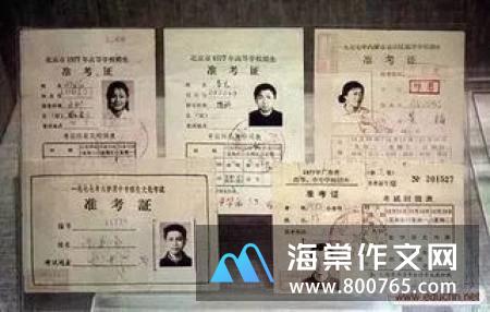 追忆茉莉初一700字作文