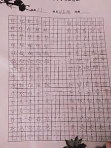 我的梦小学二年级作文500字