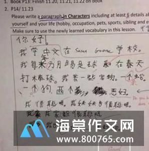 认真完成作业小学二年级作文
