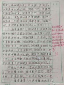 大拖鞋小学二年级作文