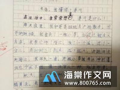 我的梦想小学生二年级作文400字
