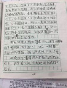 美丽的夏夜小学二年级作文200字