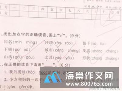 我的老师小学二年级作文500字