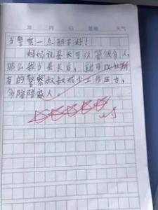 画鼻子小学二年级作文400字