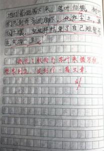 感动的小学二年级作文450字