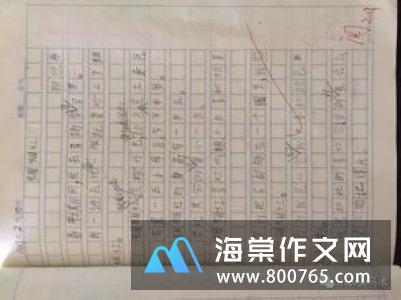 珍惜时间小学二年级作文400字