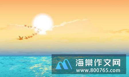 夏雨一年级作文300字