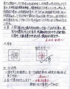 我想小学二年级作文