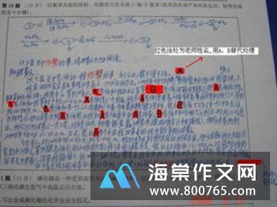 夹缝中的歌声高一作文