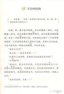 放风筝350字一年级作文