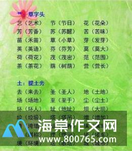 寒假的乐事小学二年级作文