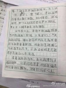 家乡的山粉饺小学二年级作文