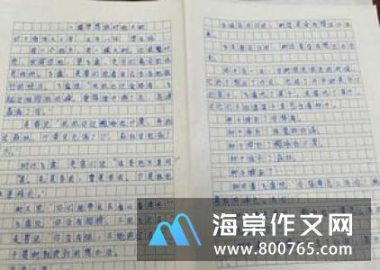 我的老师小学二年级作文500字