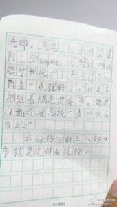 七彩南宁的小学二年级作文