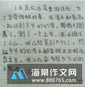 摘樱桃500字一年级作文