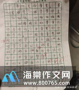 我的烦恼小学二年级作文300字