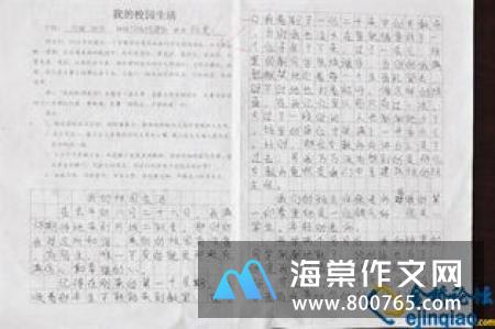 校园的一角一年级学生作文500字